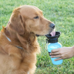 Bebedero Portátil Botella Agua Para Perros Mascotas 400 Ml