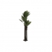 Træ DKD Home Decor Palmera polypropylen 100 x 100 x 250 cm