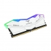 RAM atmintis Team Group T-Force Delta RGB DDR5