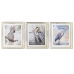 Maľba DKD Home Decor 40 x 1,6 x 60 cm Vtáky Stredozemný (3 Kusy)
