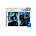 Pussel Ravensburger Potter & Snape 2 x 500 Delar