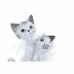 Figura Decorativa DKD Home Decor 15 x 10 x 29 cm Branco Gatos Romântico