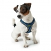 Arnês para Cães Hunter Hilo-Comfort Azul XS/S (37-42 cm)