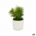 Planta Decorativa Branco Verde (14 x 20 x 14 cm) (12 Unidades)