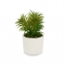 Plante décorative Blanc Vert (14 x 20 x 14 cm) (12 Unités)