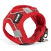 Hundsele Gloria Air Mesh Trek Star Justerbar Röd Storlek XXXS (18-20 cm)