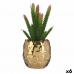 Plantă decorativă Ceramică Auriu* Cactus Verde Plastic 6 Unități