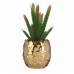 Plantă decorativă Ceramică Auriu* Cactus Verde Plastic 6 Unități
