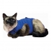 Camisola de recuperação para animais de estimação KVP Azul 35-43 cm