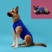 Camisola de recuperação para animais de estimação KVP Azul 35-43 cm