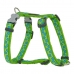 Arnês para Cães Red Dingo Style Estrela Verde 25-39 cm