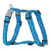 Hondentuigje Red Dingo Style Blauw Ster 25-39 cm