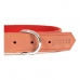 Collare per Cani Gloria Oasis Rosso (45 x 1,8 cm)