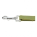 Dog Lead Gloria Oasis 2.1 x 100 cm Green