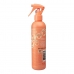 Tørshampoo Pet Head Quick Fix Hund Fersken Spray (300 ml)