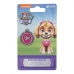 Naamplaatje voor halsband The Paw Patrol Skye Maat M