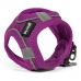 Hundesele Gloria Air Mesh Trek Star Justerbar Lilla Størrelse XXXS (18-20 cm)