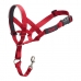 Trainingshalsbanden voor honden Company of Animals Halti Muilkorf (40-54 cm)