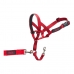 Trainingshalsbanden voor honden Company of Animals Halti Muilkorf (40-54 cm)