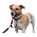 Trainingshalsbanden voor honden Company of Animals Halti Muilkorf (40-54 cm)