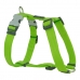 Hundsele Red Dingo Slät 25-39 cm Lime