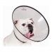 Guler elisabetan pentru câini KVP Saf-T-Clear Transparent (30-76 cm)