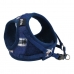 Imbracatura per Cani Gloria Jeans 17-22 cm Taglia XS