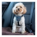 Hundesele Company of Animals CarSafe Sort XS