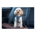 Harnais pour Chien Company of Animals CarSafe Noir L