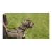 Trainingshalsbanden voor honden Company of Animals Halti Zwart Muilkorf (51-73 cm)