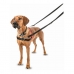 Arnês para Cães Company of Animals Halti Preto/Vermelho Tamanho M (58-86 cm)