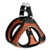 Hundesele Hunter Hilo-Comfort Orange S (42-48 cm)