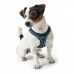 Koiran valjaat Hunter Hilo-Comfort Sininen (30-35 cm)