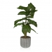 Decoratieve plant Versa 15 x 53 x 15 cm Cement Plastic