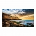 Moniteur Videowall Samsung LH55QETELGC 4K Ultra HD 55