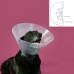 Collier de protection Isabelino pour chiens KVP Betsy Transparent (63-78 cm)