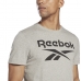 T-shirt med kortärm Herr Reebok BIG LOGO TEE HD4219 Grå