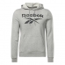 Hættetrøje til Mænd Reebok FT BIG LOGO OTH HZ8786  Grå