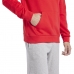 Vyriškas džemperis su gobtuvu Reebok RI FT LEFT CHEST OT HA9276  Raudona