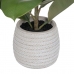 Planta Decorativa Verde PVC Roble 58 cm