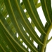 Decoratieve plant Polyethyleen Areca 189 cm