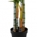 Dekorativ plante 100 x 130 x 210 cm Grøn PVC Palmera