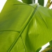 Planta Decorativa 103 x 95 x 200 cm Verde PVC Bananeira