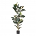 Decoratieve plant PVC Ijzer Vijgen 49 x 45 x 125 cm