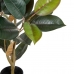 Decorative Plant PVC Iron Fig Tree 49 x 45 x 125 cm