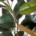 Planta Decorativa PVC Hierro Ficus 49 x 45 x 125 cm