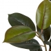 Decorative Plant PVC Iron Fig Tree 49 x 45 x 125 cm