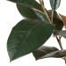 Planta Decorativa PVC Hierro Ficus 49 x 45 x 125 cm