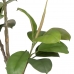Okrasná rastlina 116 cm zelená PVC Dub