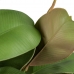 Dekorativní rostlina 134 cm Zelená PVC Hrast